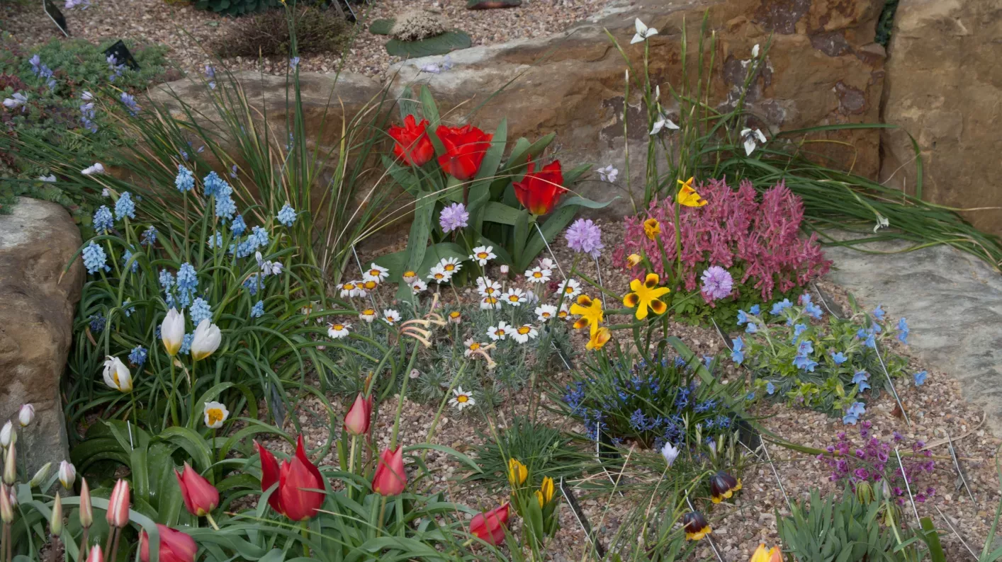 Davies Alpine House (Photo: Andrew McRobb / RBG Kew) 