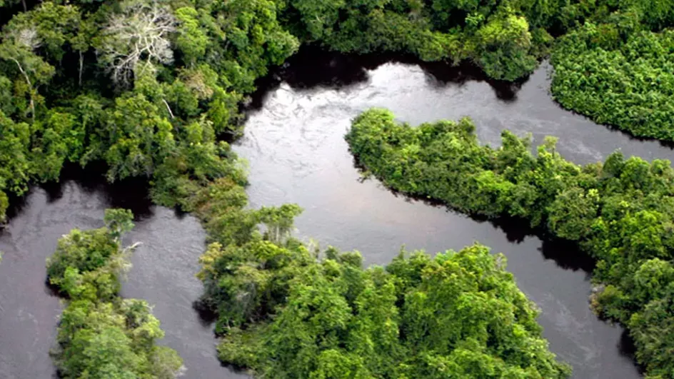 Above a winding river in the Amazon