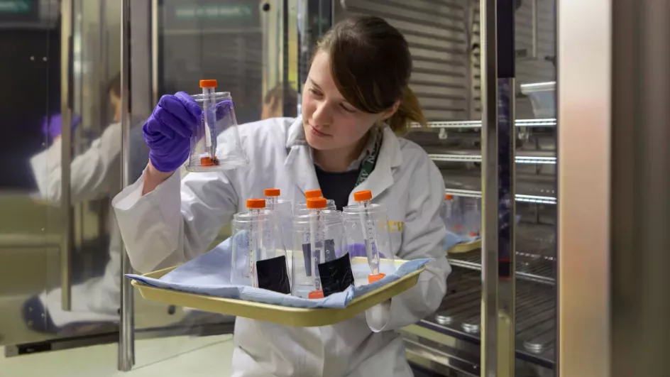 Student holding tube in lab