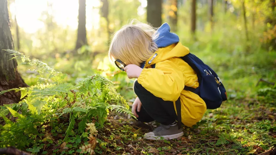 A child in a yellow coat looks at the forest floor with a magnifying glass