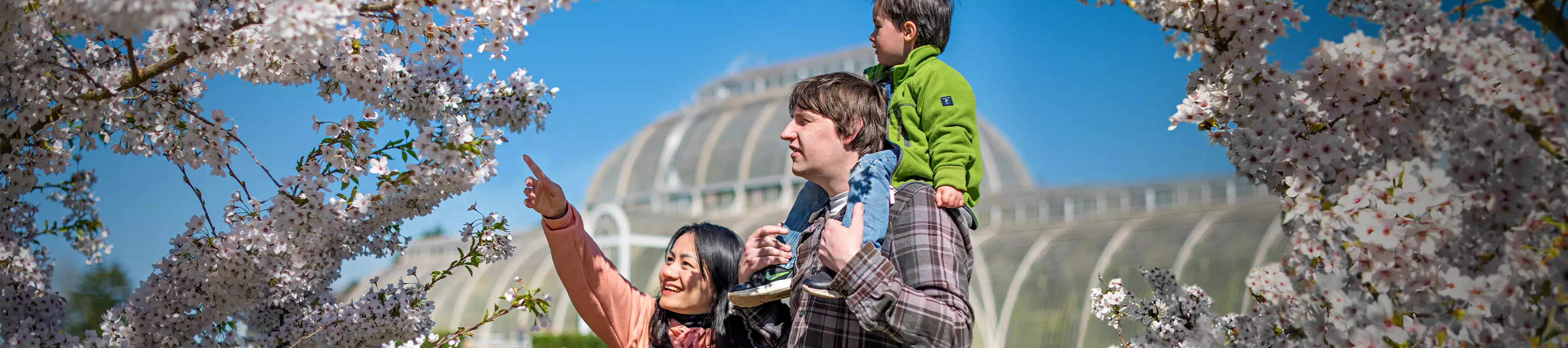 A family outside the Palm House