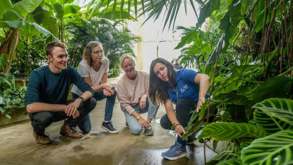 A group of people listen to a blue shirted person talking about in a leaf in a large glasshouse