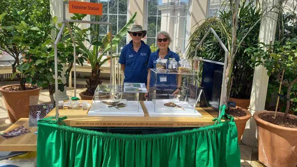 Two people in blue polo shirts, standing by a table full of resources in the Temperate House