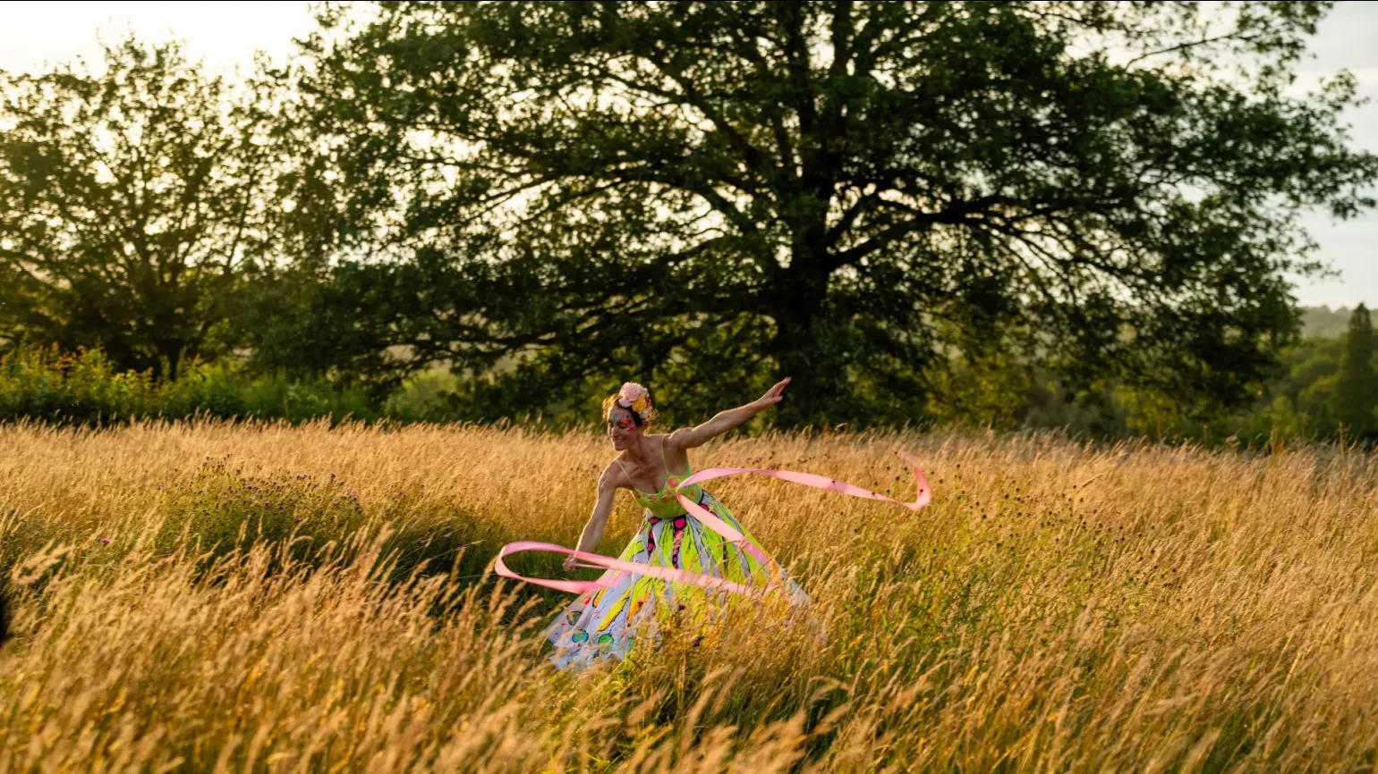 A person dancing in a golden meadow