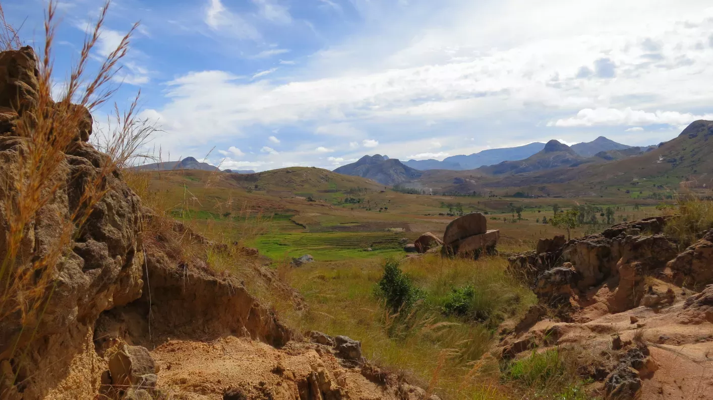 Grassland n Central Madagascar, Bat Vorontsova / RBG Kew, 2014