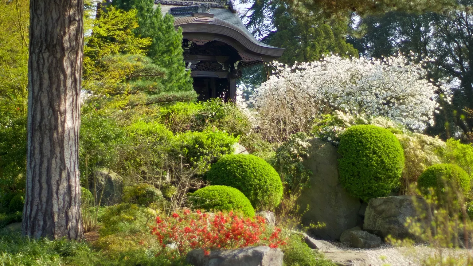 Plants in the Japanese Landscape at Kew