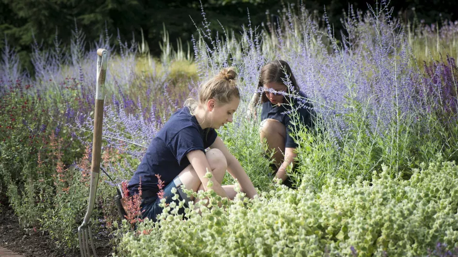 Horticulturalists working at Kew