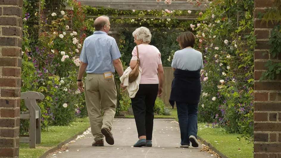 Visitors in the evolution beds