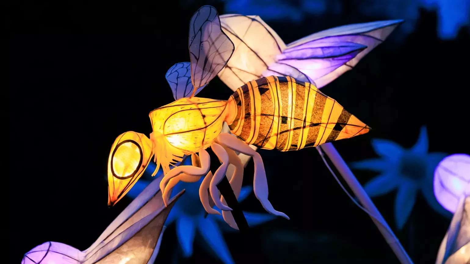 Bea lantern at Wakehurst