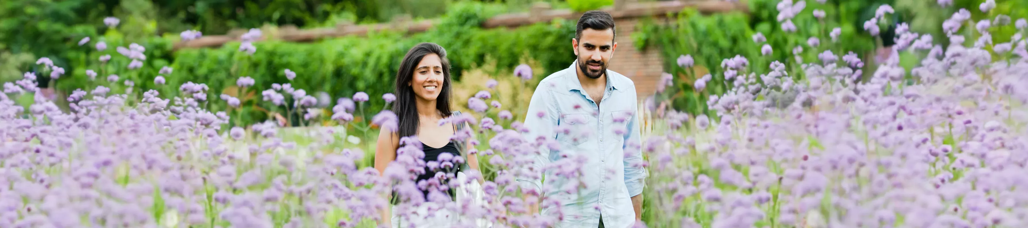 A couple walks through purple flowers