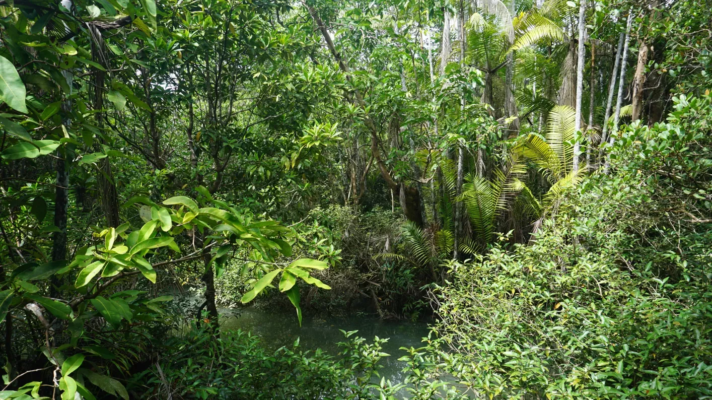 Thailand Header 