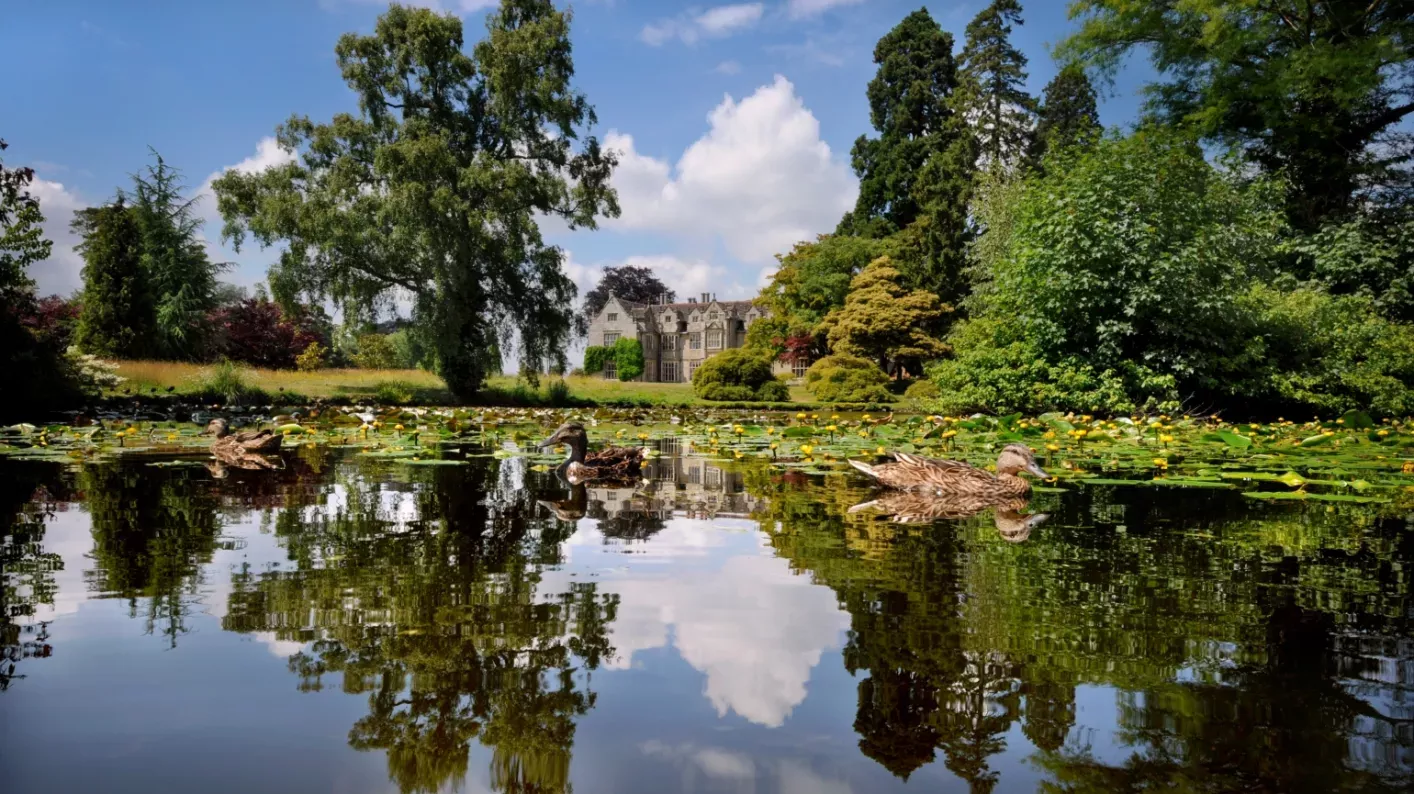 The Mansion pond at Wakehurst on a bright day 