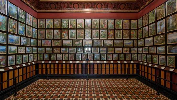 Paintings on display in the Marianne North Gallery at Kew 