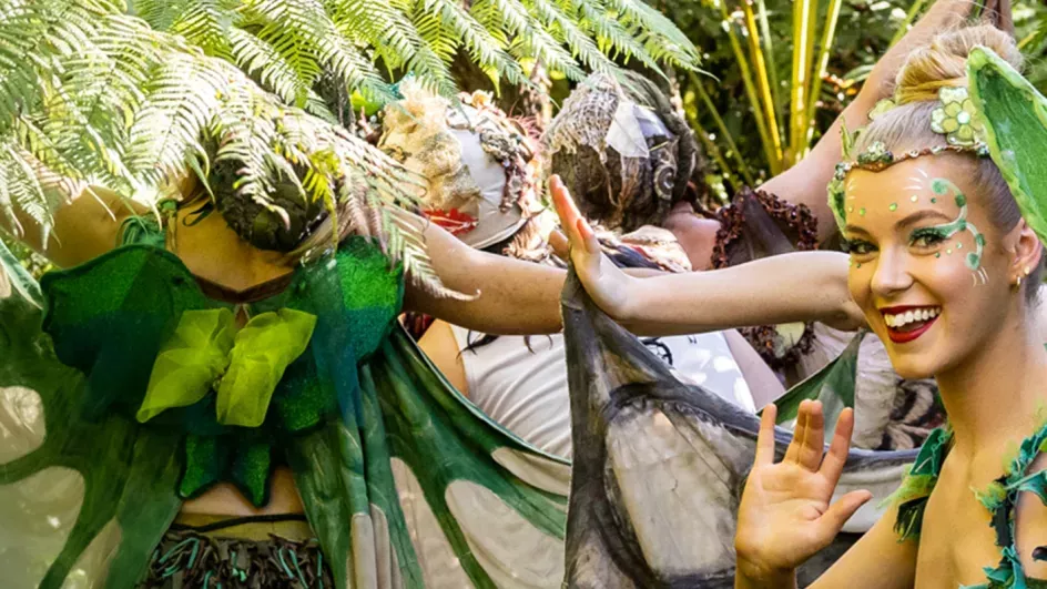 A smiling fairy surrounded by other fairies in the green undergrowth