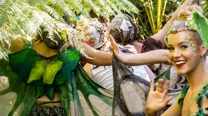 A smiling fairy surrounded by other fairies in the green undergrowth