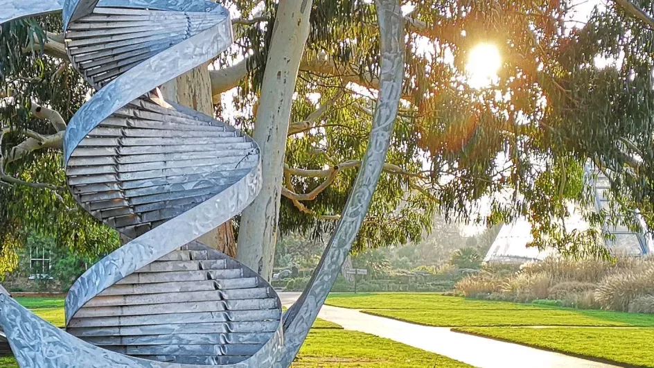 A metal DNA statue outside of the Jodrell Laboratory in Kew Gardens