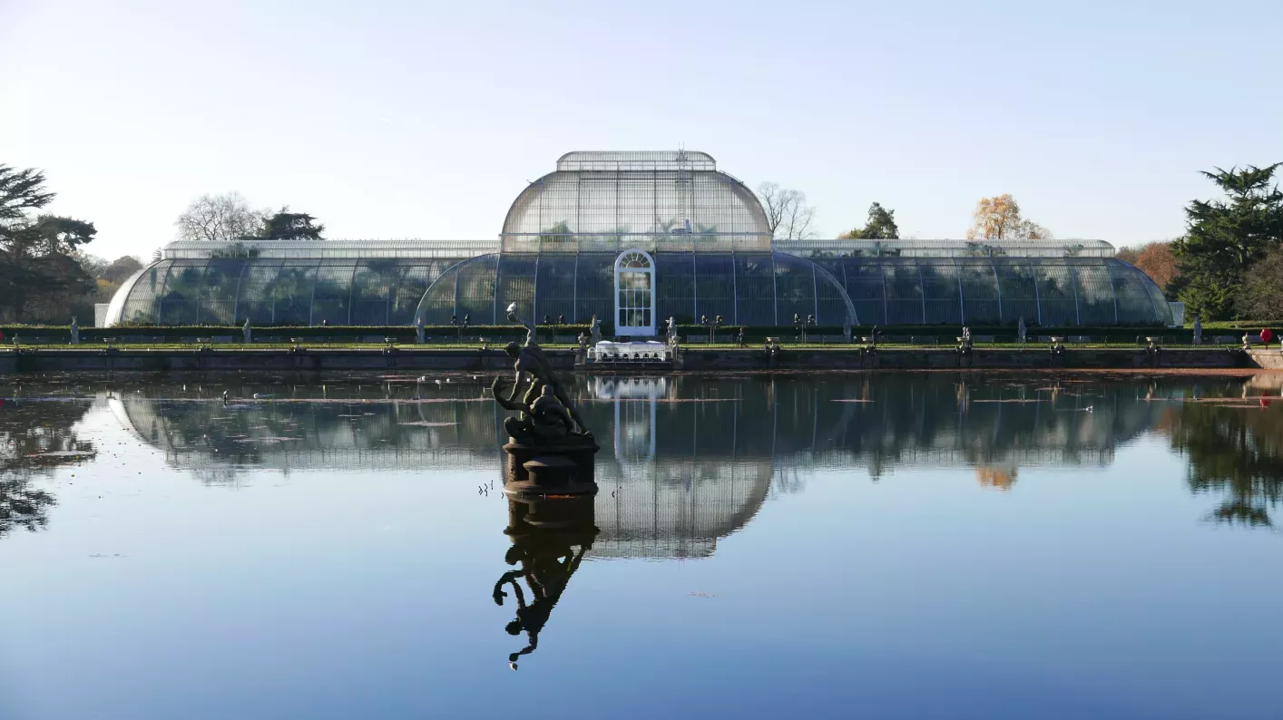 The Palm House Pond reflects blue sky