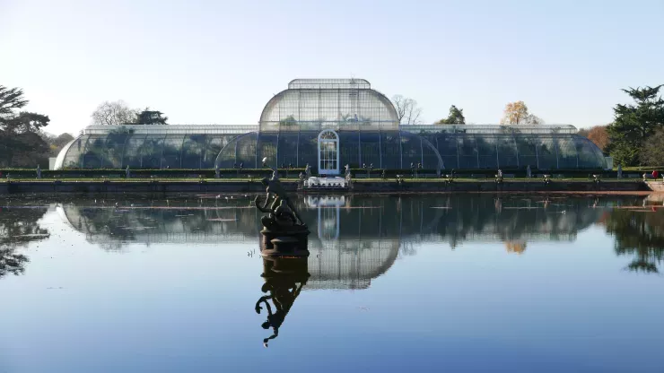 The Palm House Pond reflects blue sky