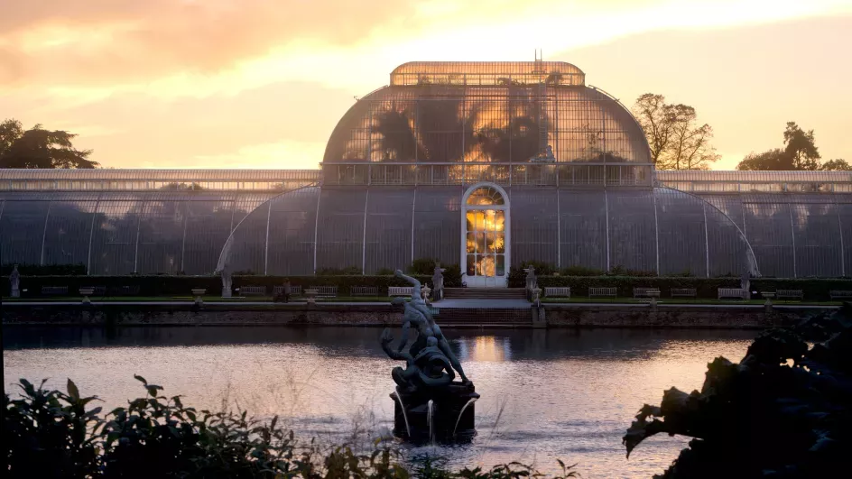 The Palm House at sunset