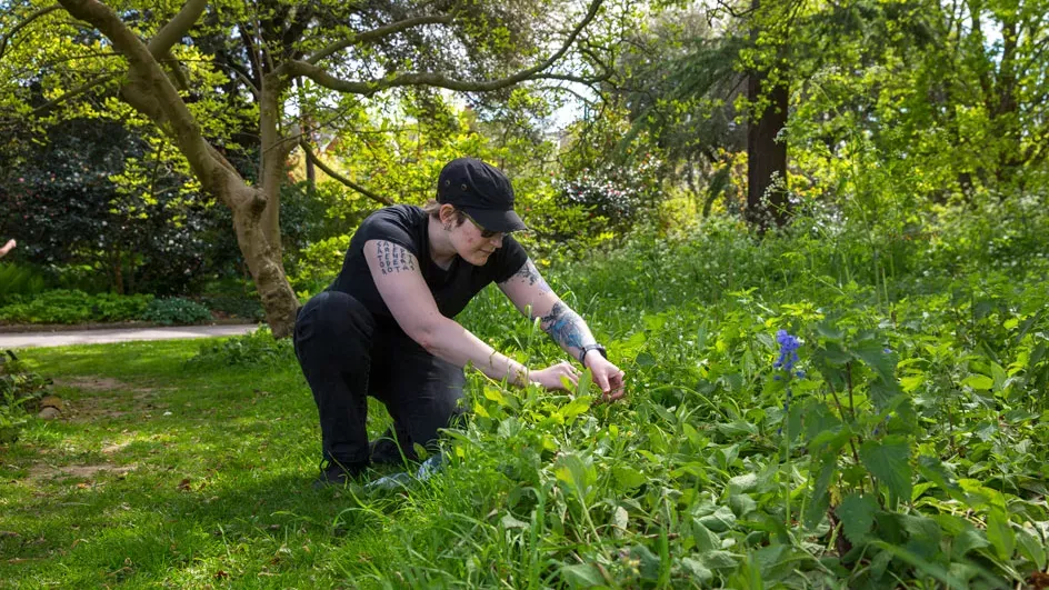 Student at Kew in a meadow crouching down collecting plants