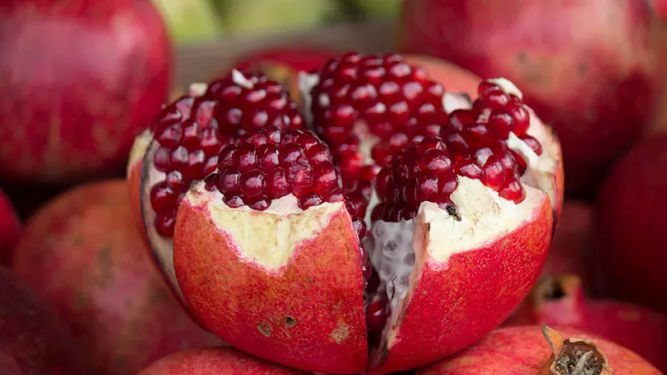 Open pomegranate (Punica granatum) fruit that is spherical and red with deep red tissue surrounding seeds