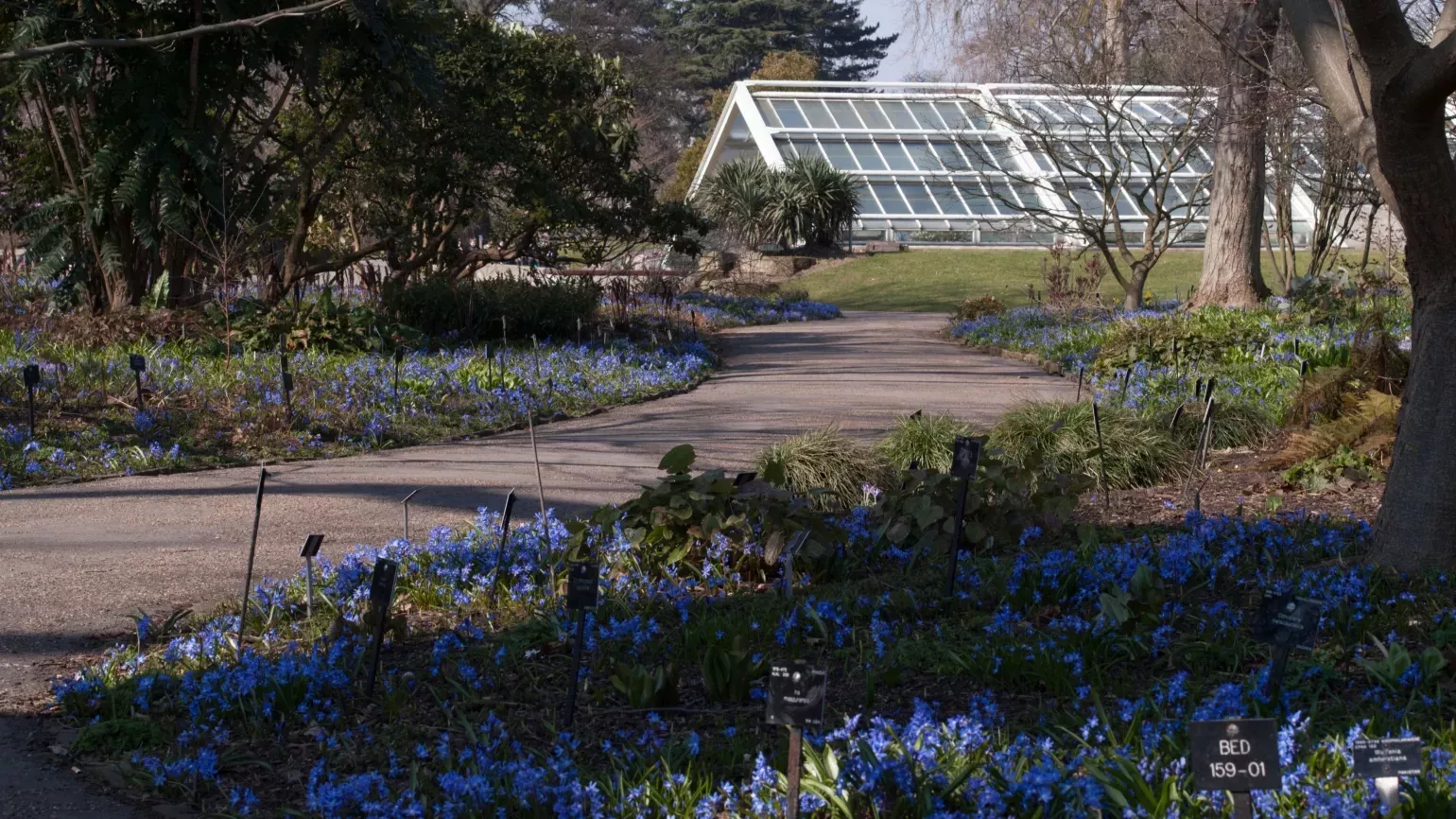 Princess of Wales Conservatory seen from Woodland Garden 