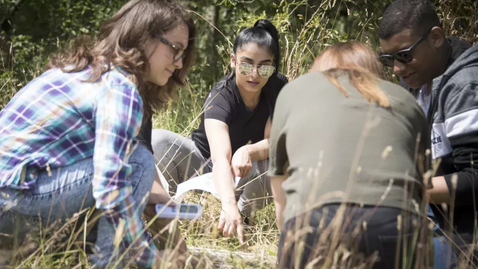 Students sitting in grass