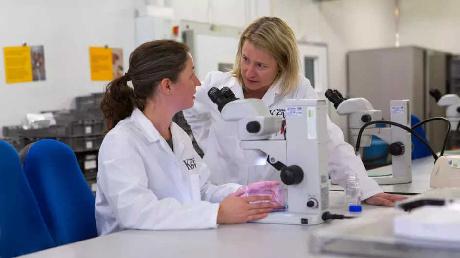 Two researchers discussing around a microscope.