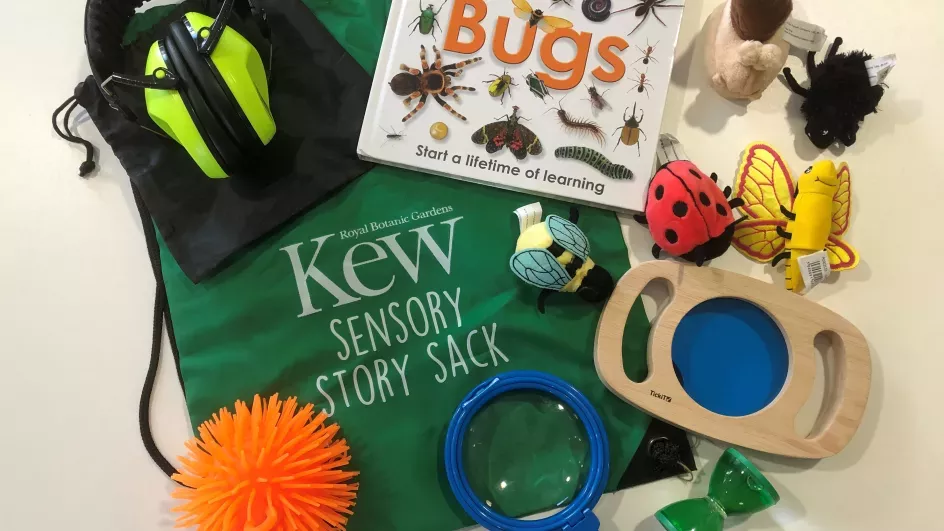 Green sensory story sack containing a stress ball, timer and ear defenders.