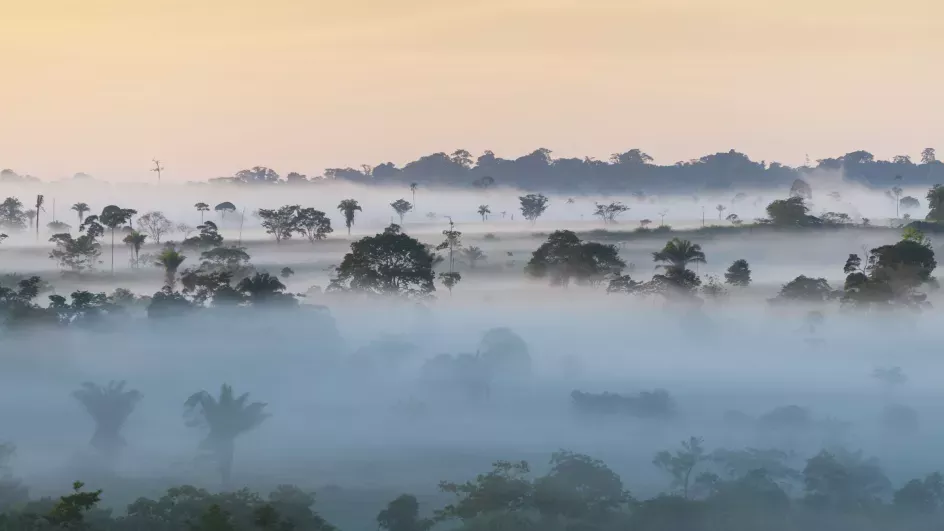 State of the World's Plants 2016