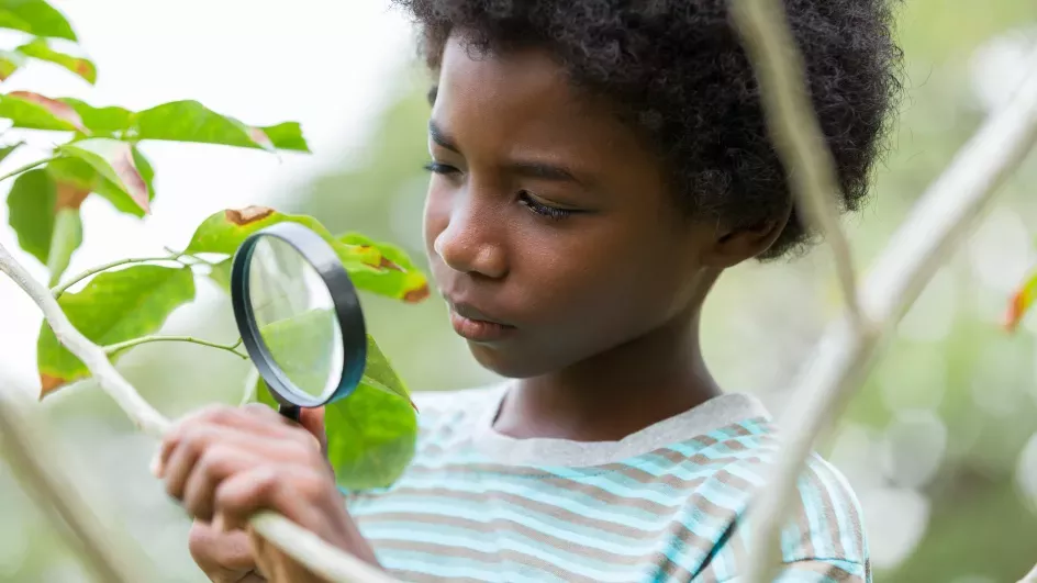 Kid inspecting a plant with a magnifying glass