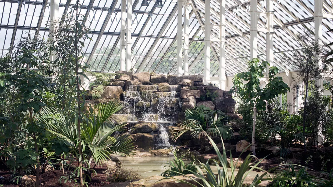 Inside the Temperate House