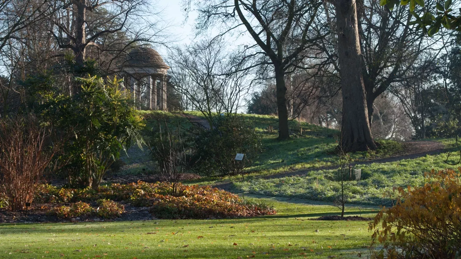 The Temple of Aeolus viewed from across the Woodland Garden 