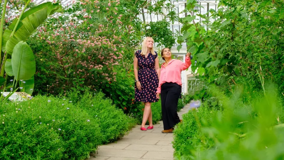 Two visitors amongst the plants in the Temperate House