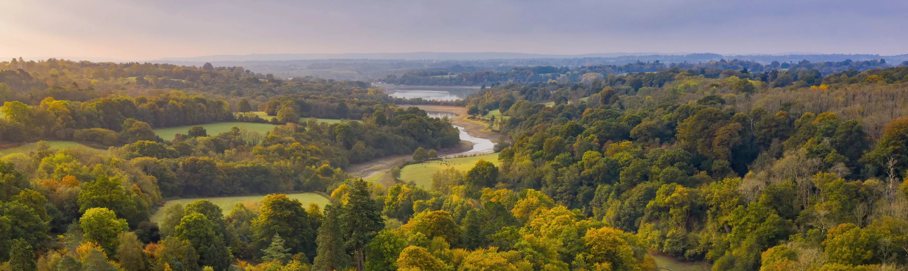 Drone shot of Loder valley at Wakehurst. The woodland is green with a river running through. Th sky is slightly grey and moody