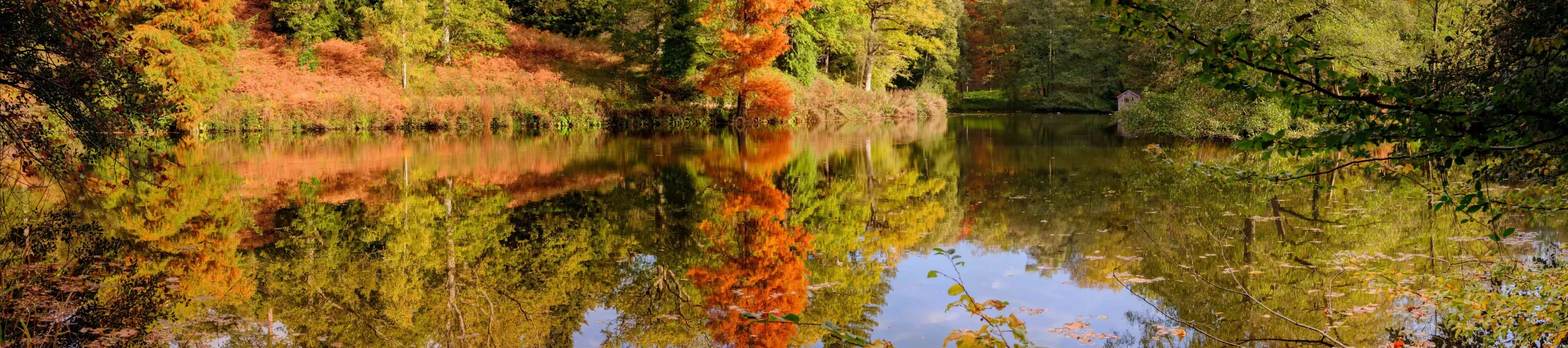 A reflective lake surface showing golden red autumnal trees