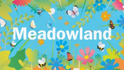 An colourful illustrated banner for Meadowland