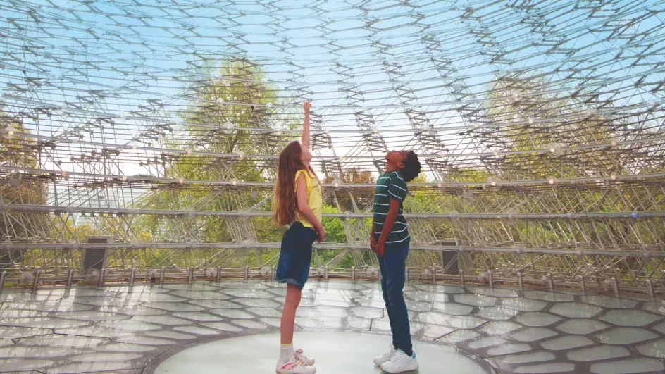 Two children in a metal structure in front of trees and a blue sky