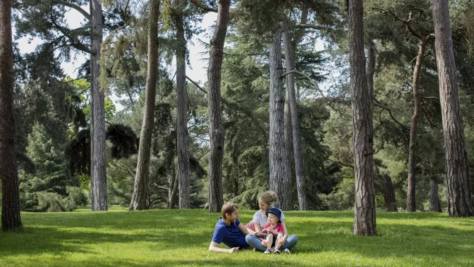 A family sit on the grass at Kew Gardens