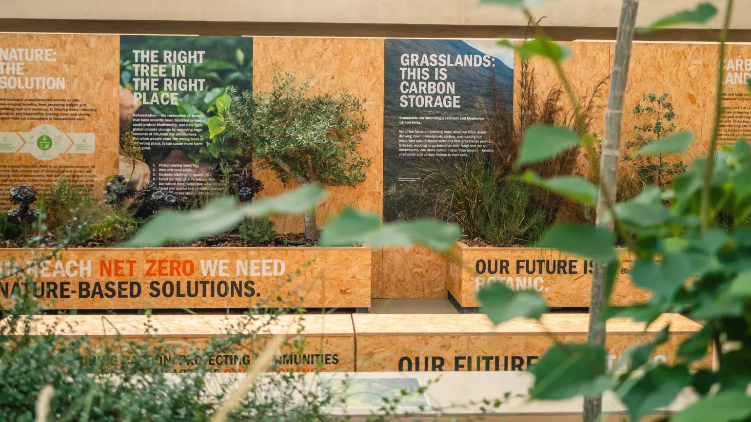 Informative panels and plants at Wakehurst