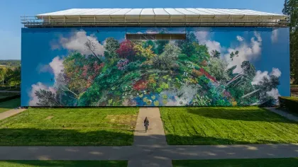 Large canvas with multicoloured plants and wildlife collage