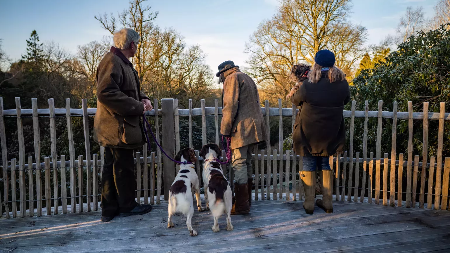 People enjoying Wakehurst's viewpoint with their dogs