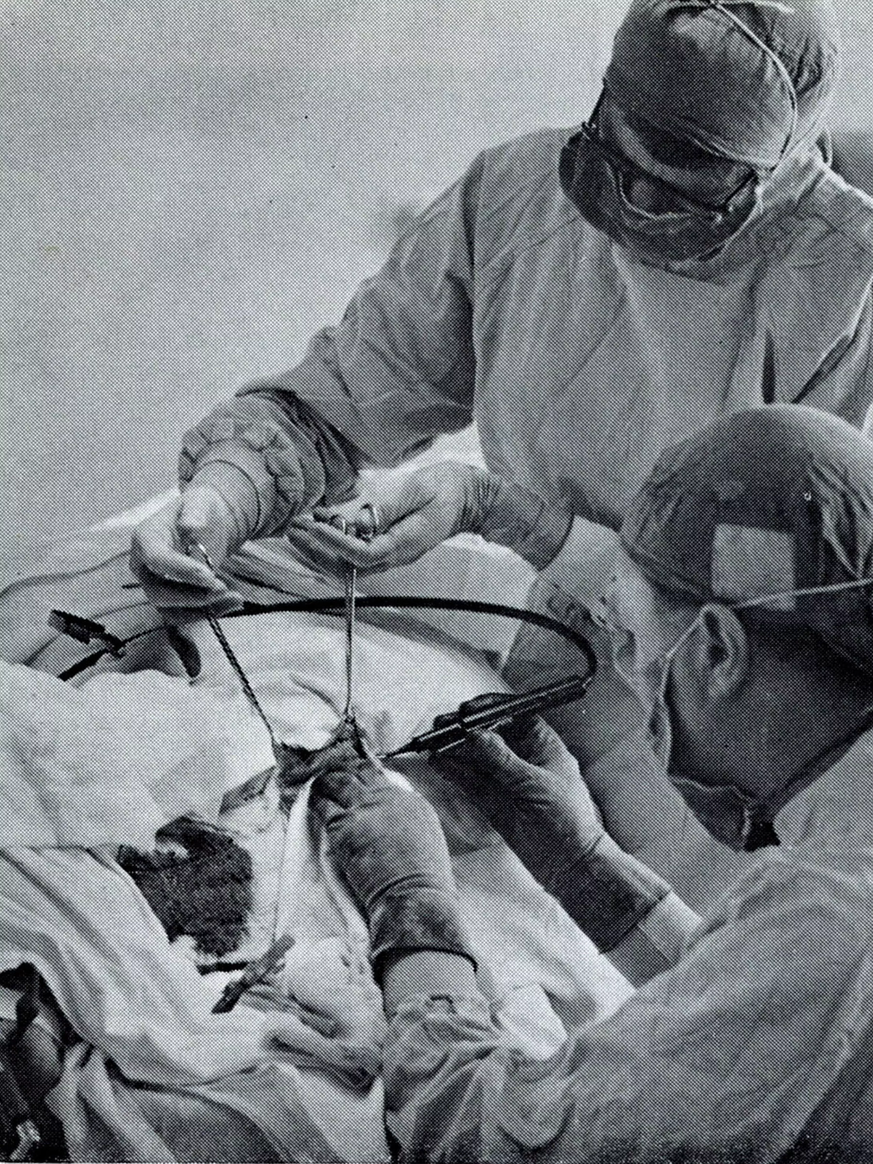 Two veterinary surgeons performing organ transplant on a sheep