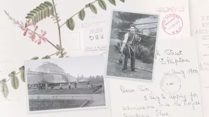 Collage of old letters, botanical art and two black and white photos: one showing women gardening in front of Kew's Palm House and the other showing a man carrying gardening tools