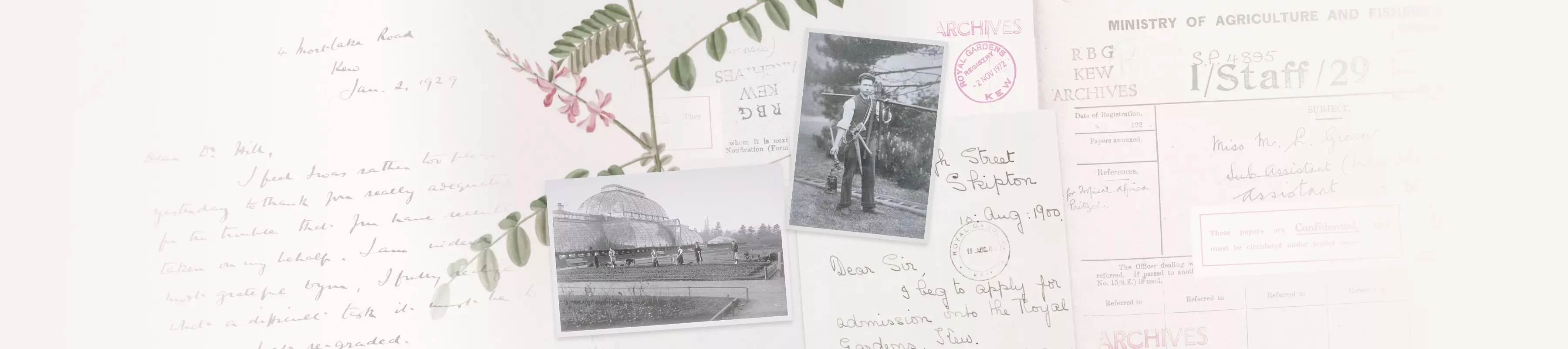 Collage of old letters, botanical art and two black and white photos: one showing women gardening in front of Kew's Palm House and the other showing a man carrying gardening tools