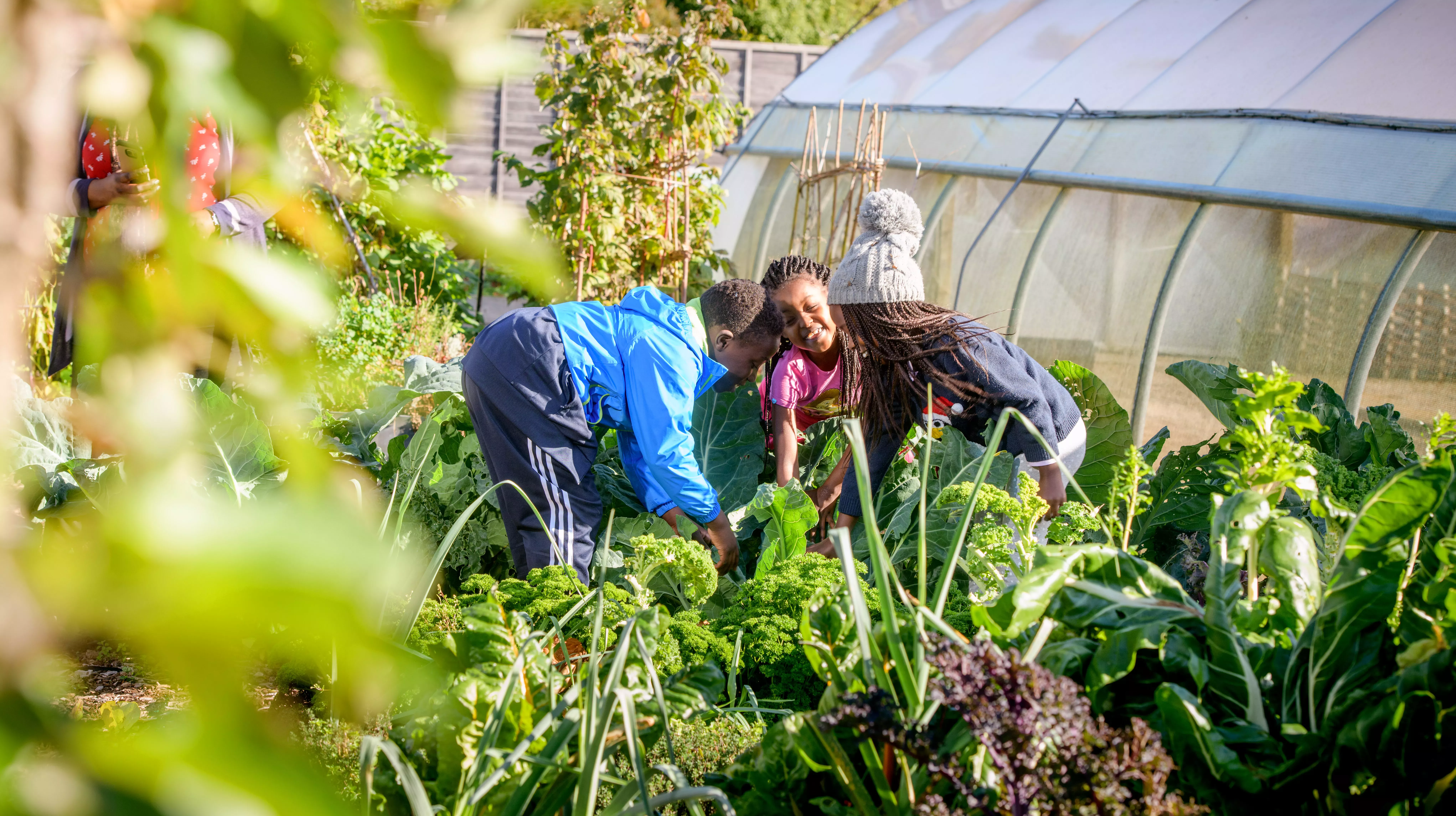 Children playing in the Children's Vegetable Garden at Wakehurst