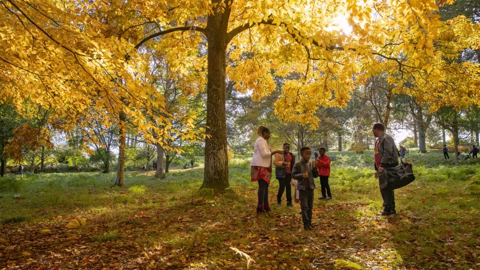 Family enjoying a autumnal day in a forest