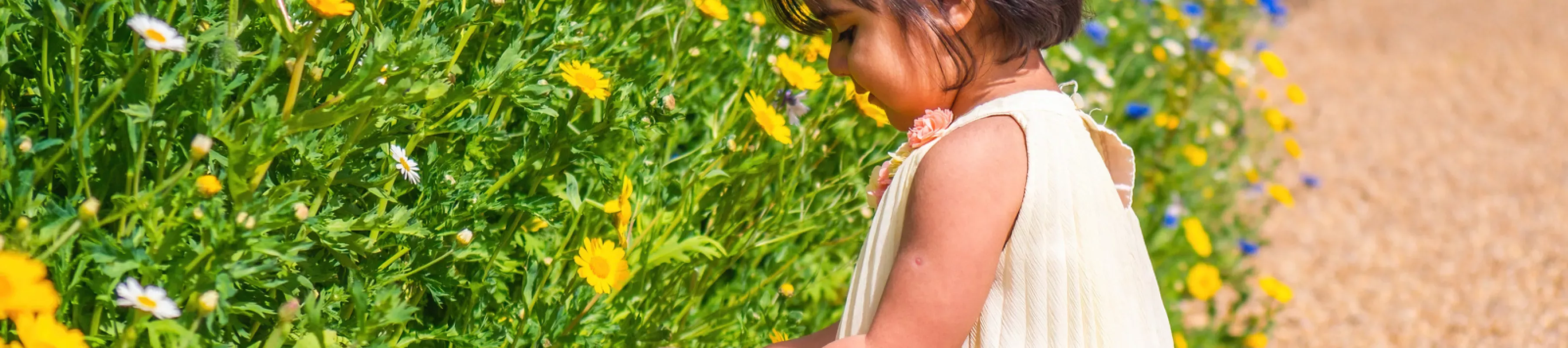 Young child inspecting yellow flowers in the Children's Walled Garden at Wakehurst