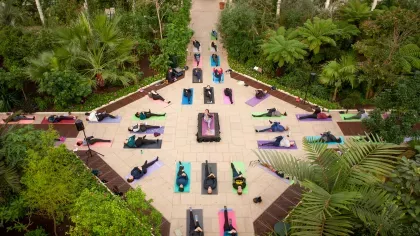 Yoga in the Temperate House