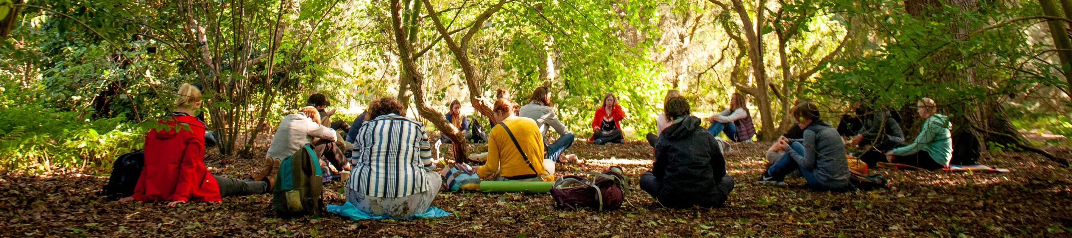 A group sat on the forest floor